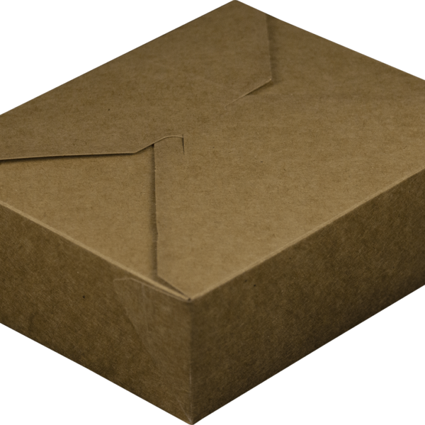 Brown Bio-nature Food Box #8
