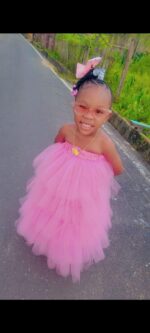 Custom Layered Tutu Dress - Image 2