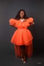 Adult Tutu Dress - Customizable - Image 2