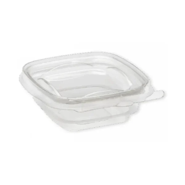 CP 747 Container - Pack Of 25