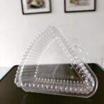 Cake Wedge Container